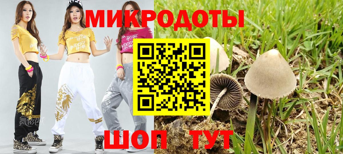 Лениногорск  Псилоцибиновые грибы GOLDEN TEACHER  Вход с VPN 